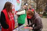 Электоральный пикет в Могилеве: прохожие рассказали, почему они придут на выборы
