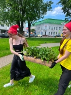 Областной проект БРСМ на лучшую цветочную клумбу «Цвети, Великий май! Символ Победы в цветах»