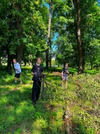 Неравнодушные объединяют усилия для восстановления  парка Подниколье после стихии