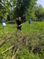 Неравнодушные объединяют усилия для восстановления  парка Подниколье после стихии