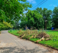 Неравнодушные объединяют усилия для восстановления  парка Подниколье после стихии