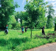 Неравнодушные объединяют усилия для восстановления  парка Подниколье после стихии