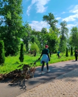 Неравнодушные объединяют усилия для восстановления  парка Подниколье после стихии