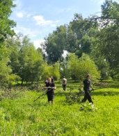 Неравнодушные объединяют усилия для восстановления  парка Подниколье после стихии