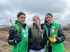 «Зелёный старт»: молодые специалисты Могилёва вместе с союзной молодежью высадили сеянцы в рамках акции «Лес! Дабро! Парадак!»