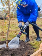 Молодёжь сажает будущее: два дерева — одна забота!