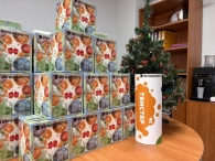 Молодёжь Могилёва подарила новогодние чудеса детям