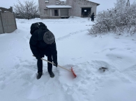 «Эстафета добра»: как волонтёры БРСМ согревают сердца в лютый мороз